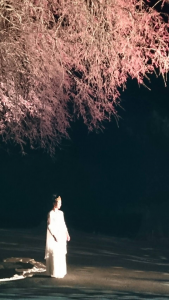 信州小川村　夜桜まつり　出演　浅野瑞穂　「永遠の舞」